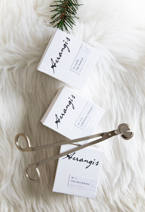 Quintessential Journey Gift Set - BotoxBarb 