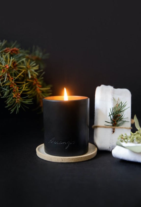 No. 102 Silver Skyline - BotoxBarb 